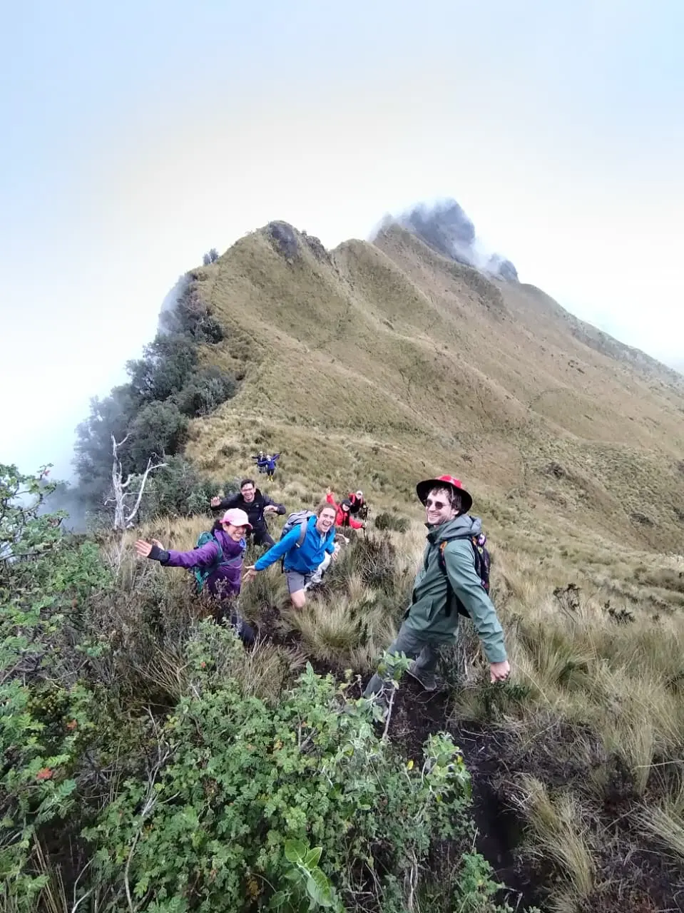 Hikers walking across Ecuadorian paramo near Quito